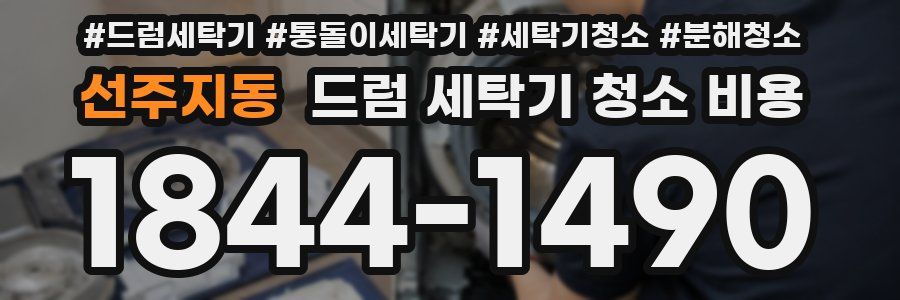 선주지동 드럼 세탁기 청소 비용