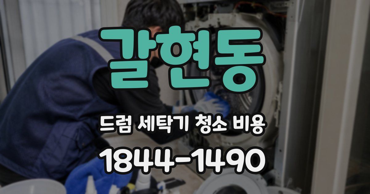 갈현동 드럼 세탁기 청소 비용