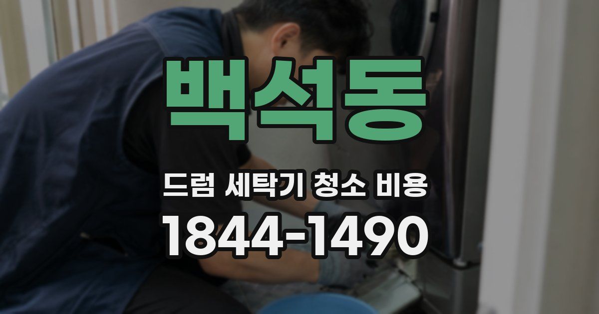 백석동 드럼 세탁기 청소 비용