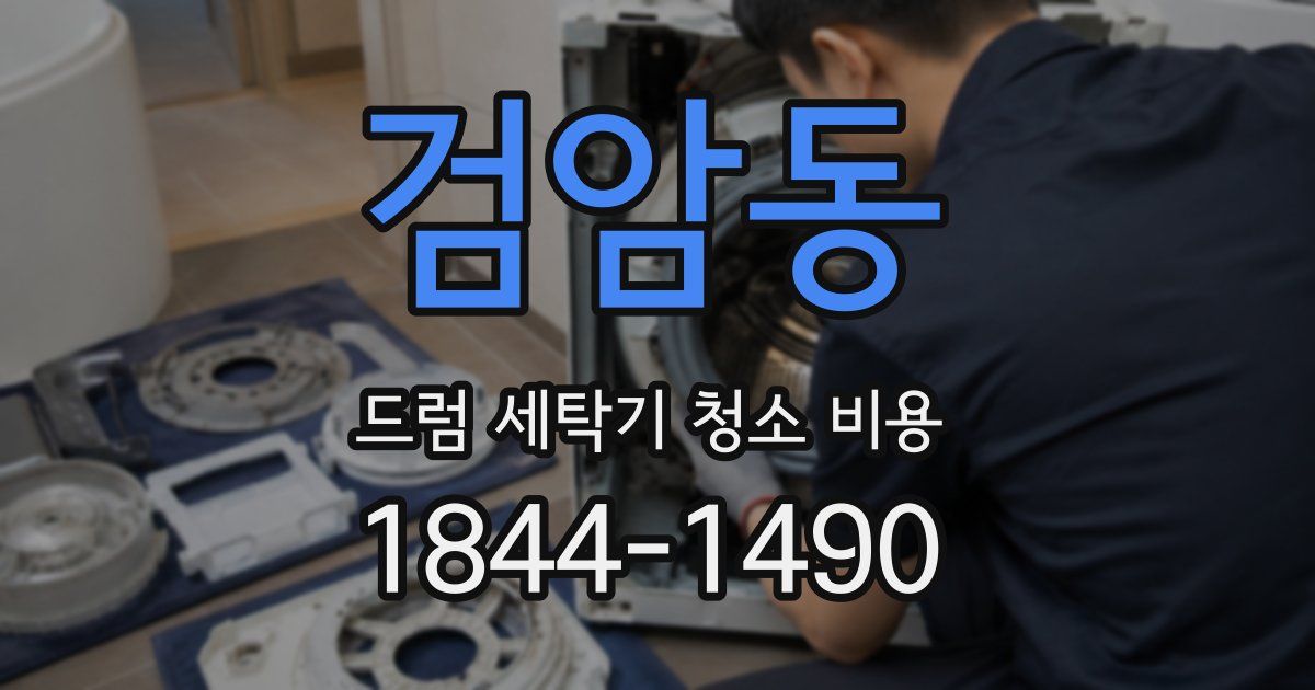 검암동 드럼 세탁기 청소 비용