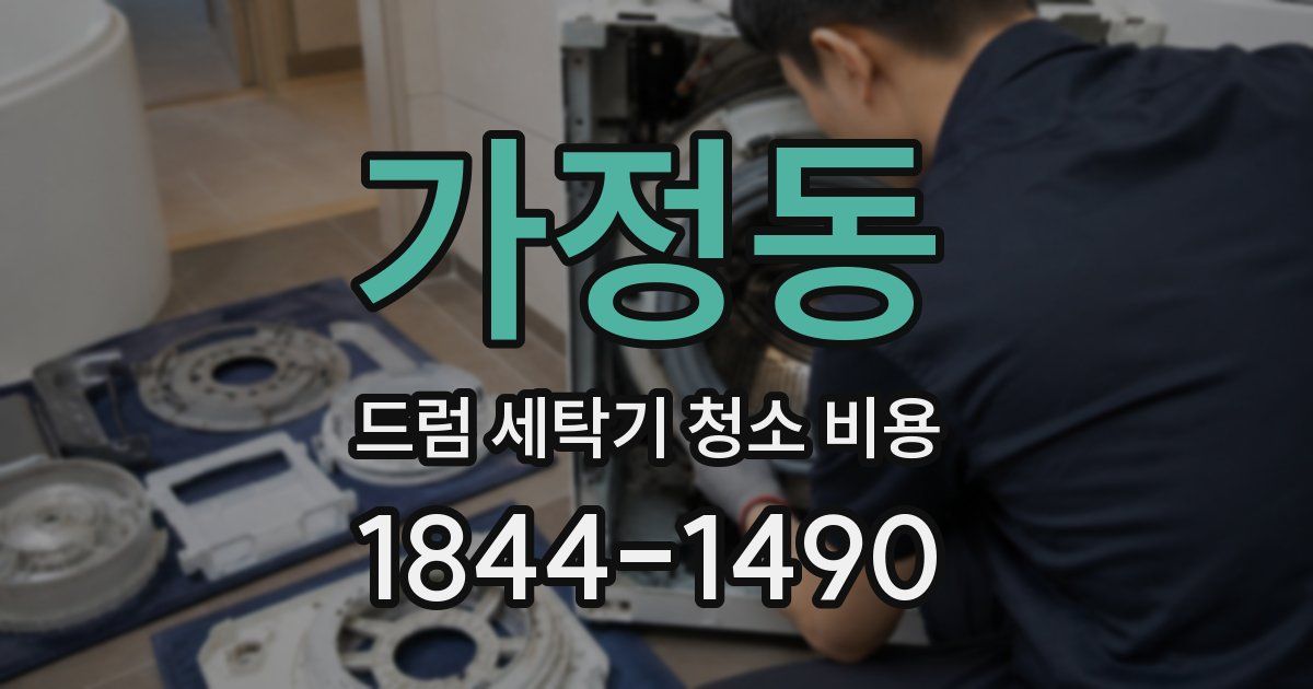 가정동 드럼 세탁기 청소 비용