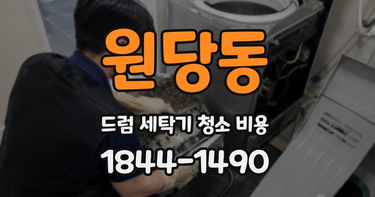 원당동 드럼 세탁기 청소 비용