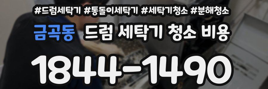 금곡동 드럼 세탁기 청소 비용