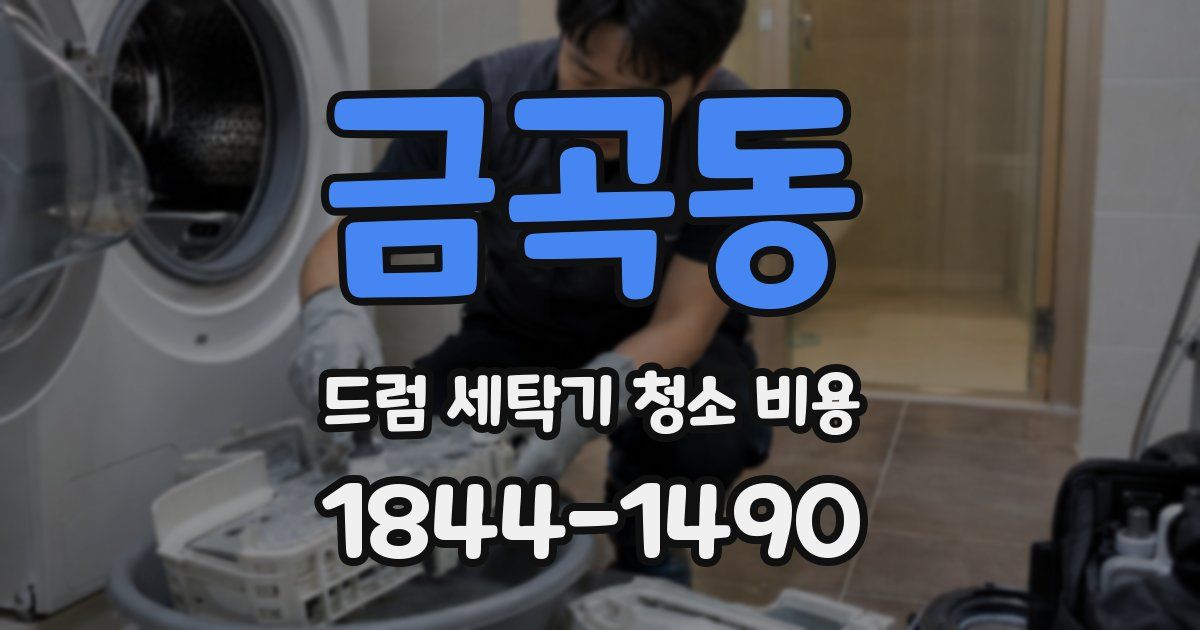금곡동 드럼 세탁기 청소 비용