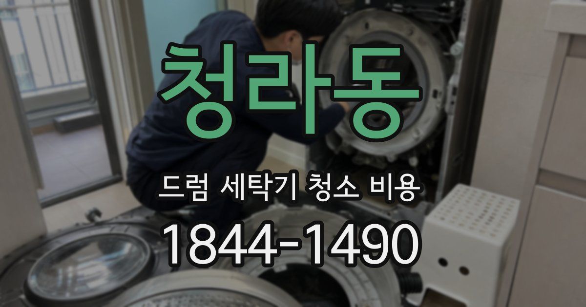 청라동 드럼 세탁기 청소 비용