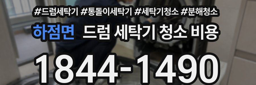 하점면 드럼 세탁기 청소 비용