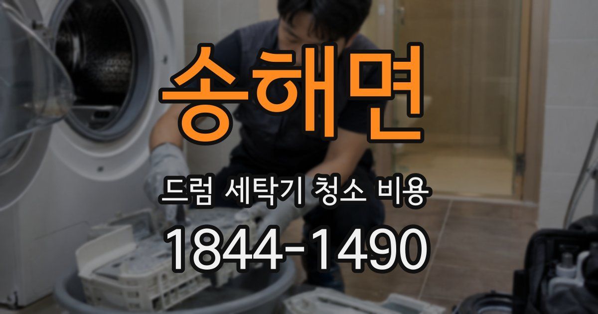 송해면 드럼 세탁기 청소 비용