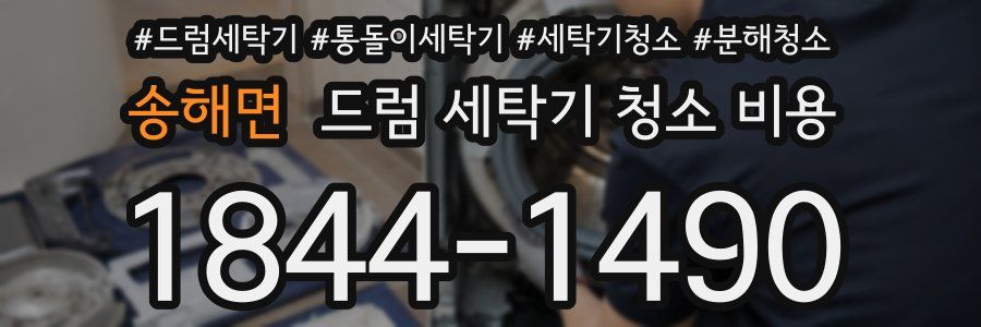 송해면 드럼 세탁기 청소 비용