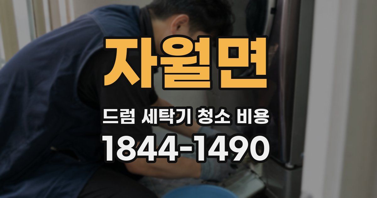 자월면 드럼 세탁기 청소 비용
