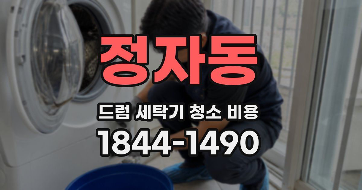 정자동 드럼 세탁기 청소 비용
