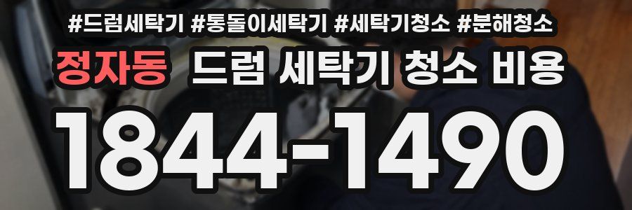 정자동 드럼 세탁기 청소 비용
