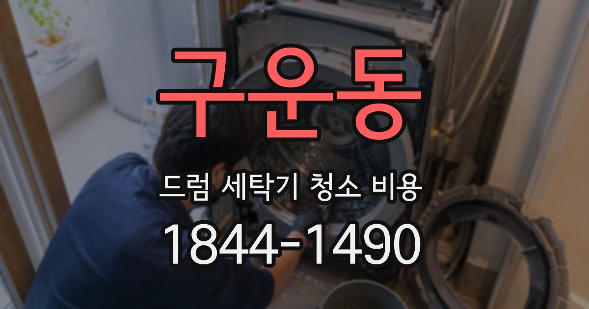 구운동 드럼 세탁기 청소 비용