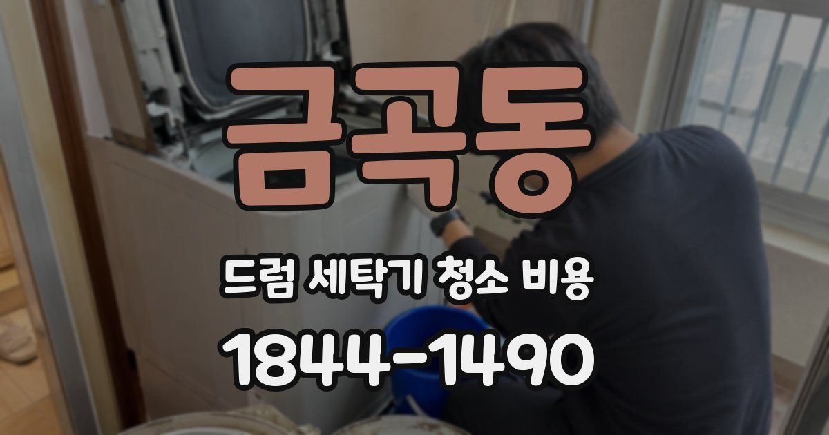 금곡동 드럼 세탁기 청소 비용