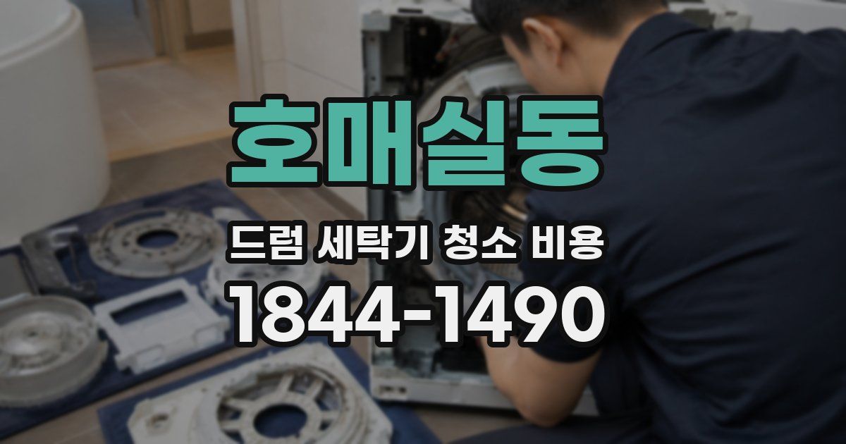호매실동 드럼 세탁기 청소 비용