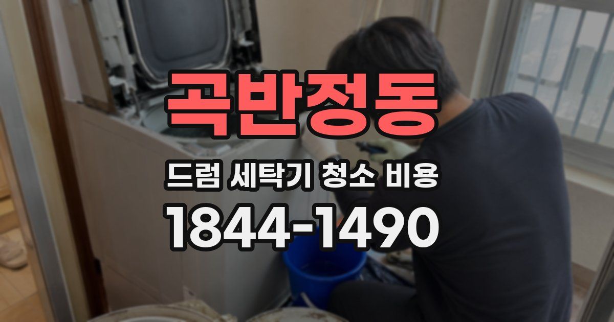 곡반정동 드럼 세탁기 청소 비용