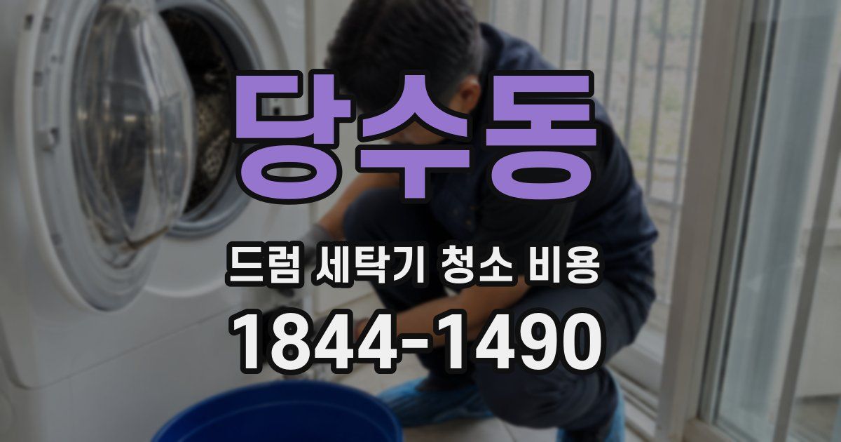 당수동 드럼 세탁기 청소 비용