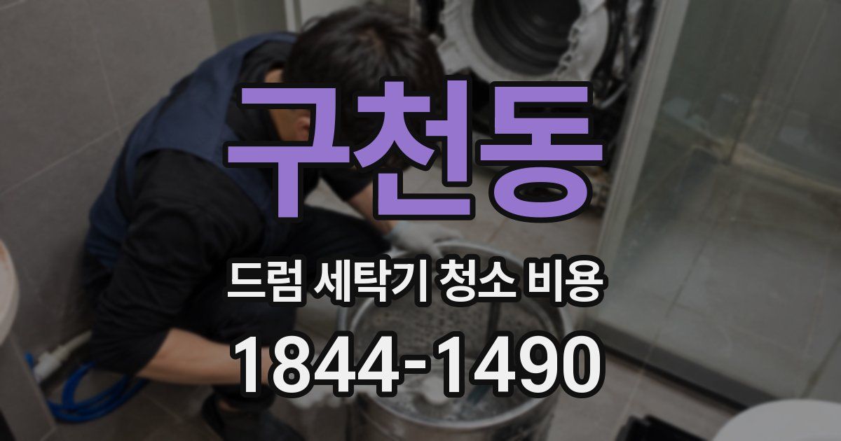구천동 드럼 세탁기 청소 비용
