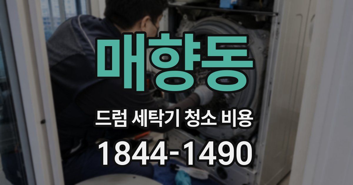 매향동 드럼 세탁기 청소 비용