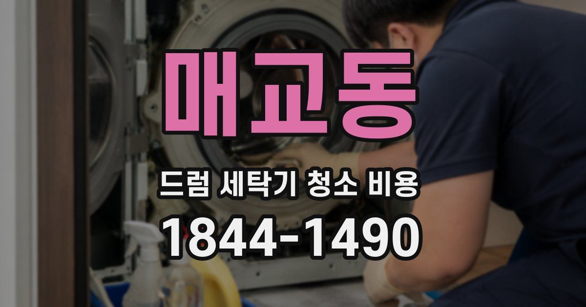 매교동 드럼 세탁기 청소 비용