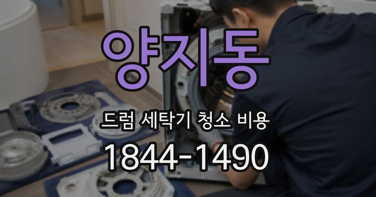 양지동 드럼 세탁기 청소 비용