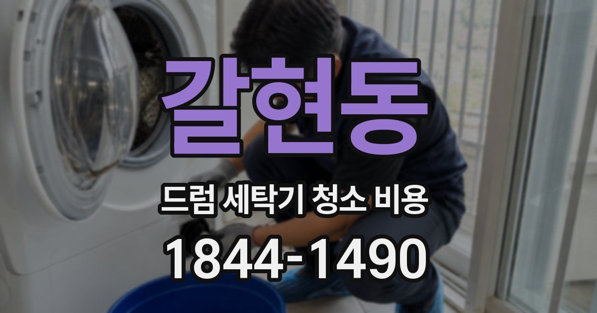 갈현동 드럼 세탁기 청소 비용