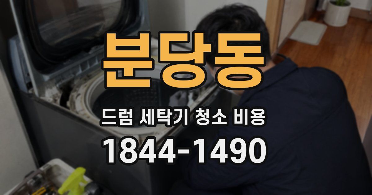 분당동 드럼 세탁기 청소 비용