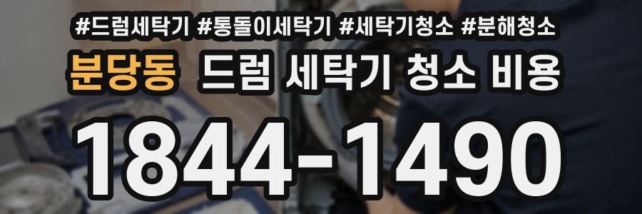 분당동 드럼 세탁기 청소 비용