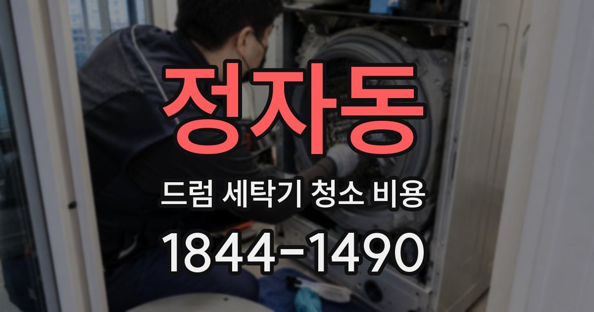 정자동 드럼 세탁기 청소 비용