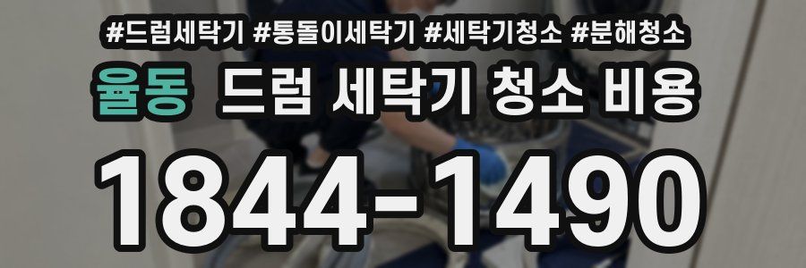 율동 드럼 세탁기 청소 비용