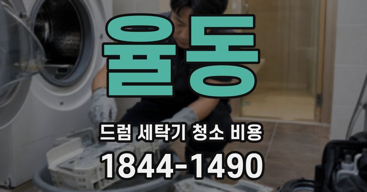 율동 드럼 세탁기 청소 비용