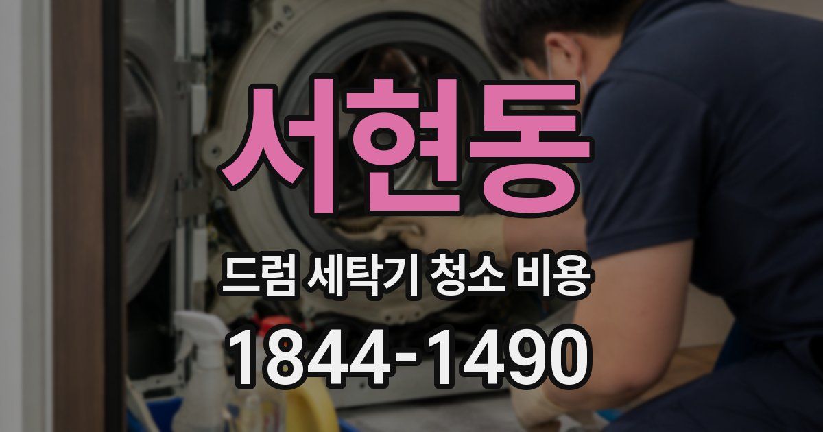 서현동 드럼 세탁기 청소 비용