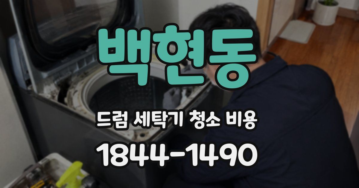 백현동 드럼 세탁기 청소 비용