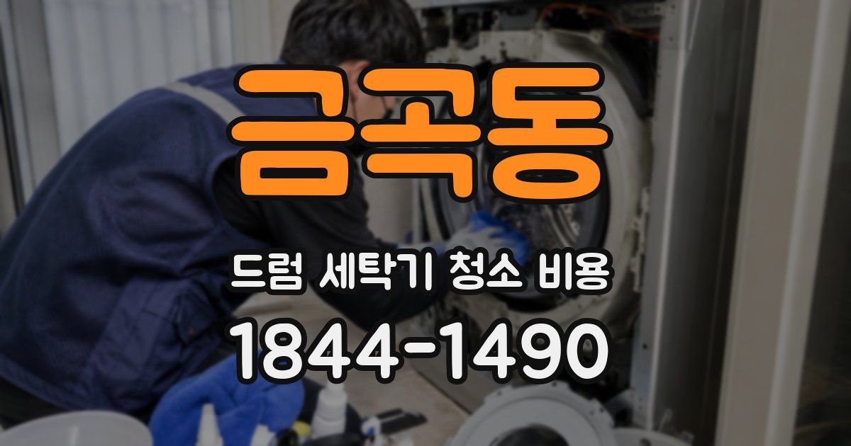 금곡동 드럼 세탁기 청소 비용