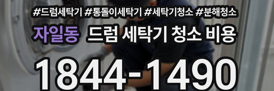 자일동 드럼 세탁기 청소 비용