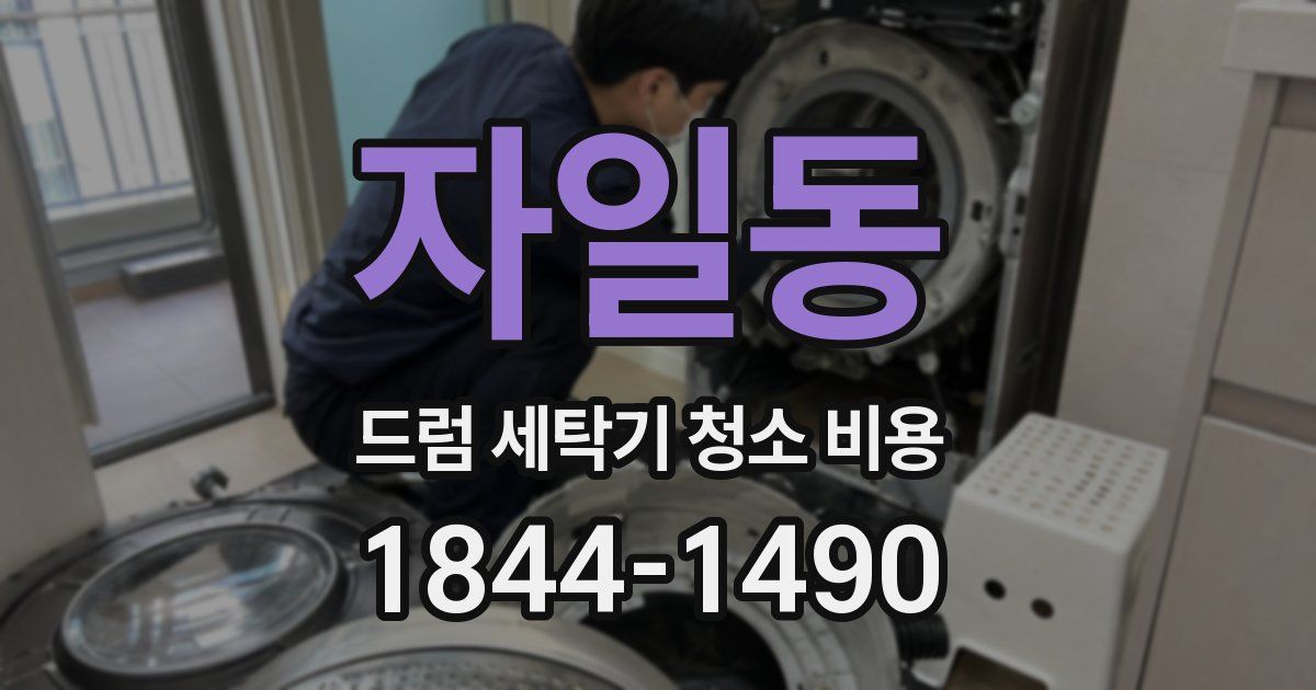 자일동 드럼 세탁기 청소 비용