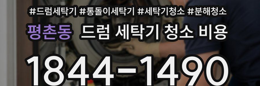 평촌동 드럼 세탁기 청소 비용