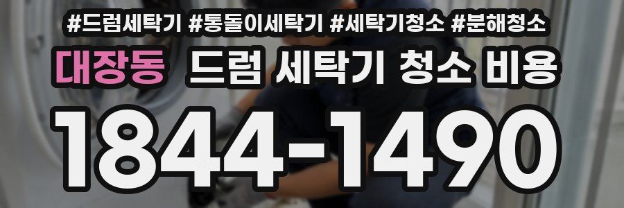 대장동 드럼 세탁기 청소 비용
