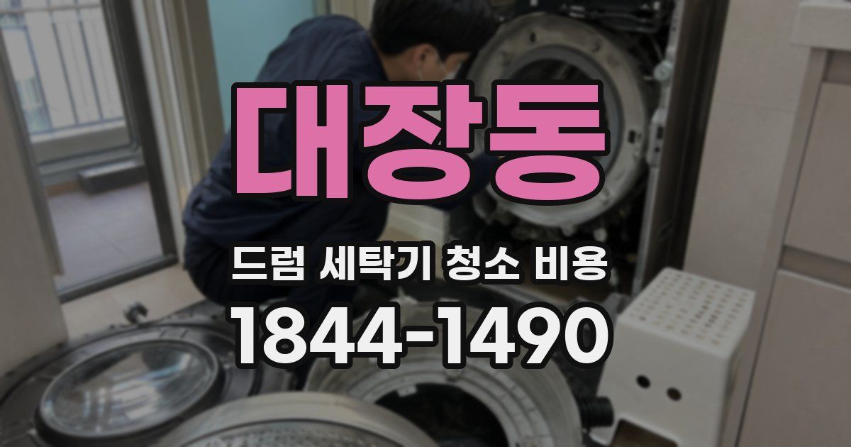 대장동 드럼 세탁기 청소 비용