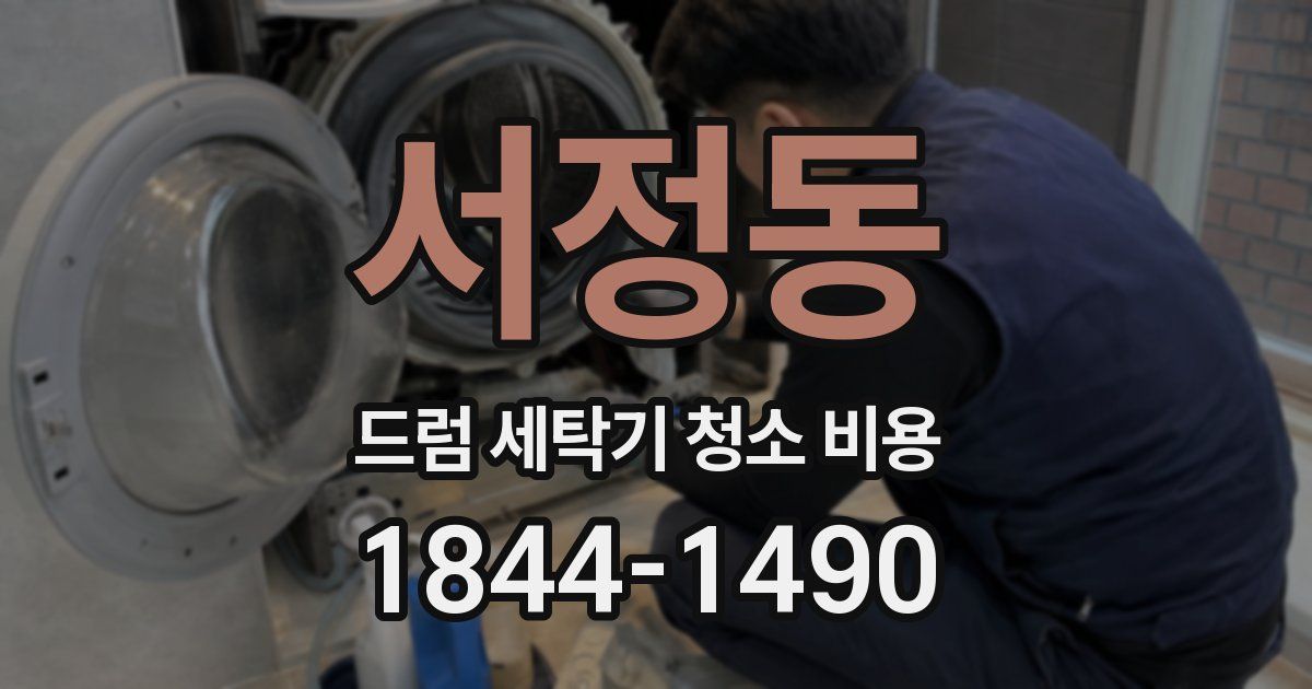 서정동 드럼 세탁기 청소 비용