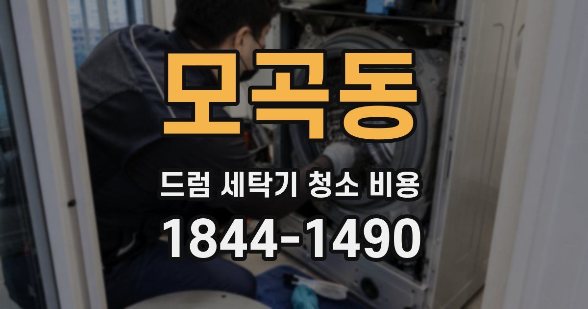 모곡동 드럼 세탁기 청소 비용