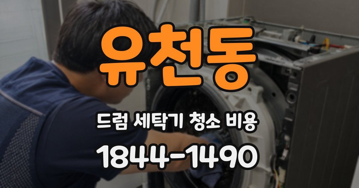 유천동 드럼 세탁기 청소 비용
