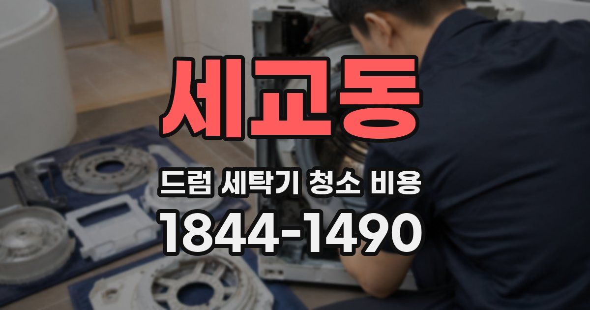 세교동 드럼 세탁기 청소 비용