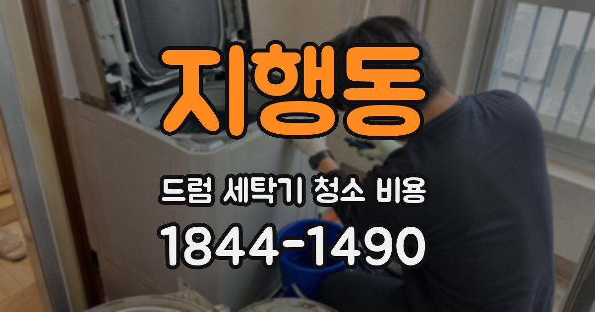 지행동 드럼 세탁기 청소 비용