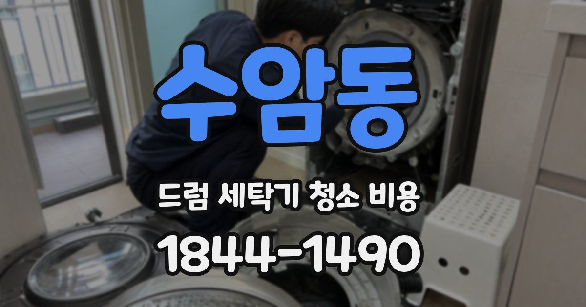 수암동 드럼 세탁기 청소 비용