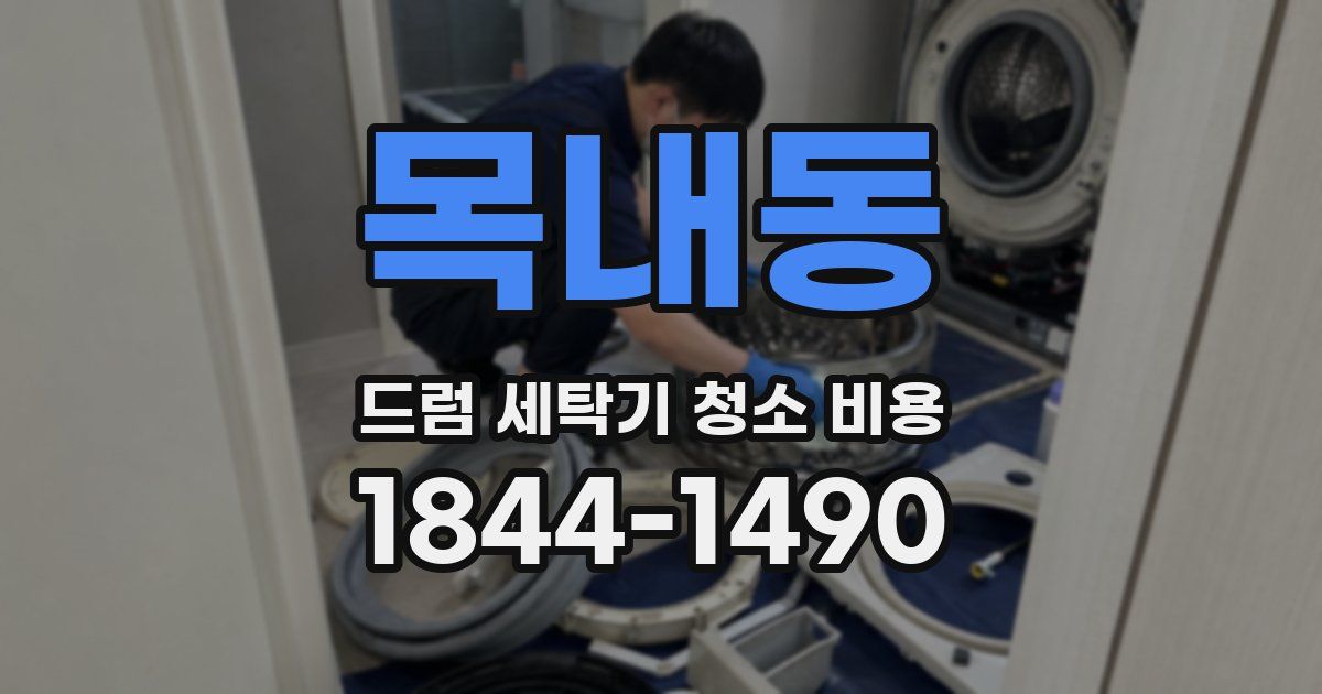 목내동 드럼 세탁기 청소 비용