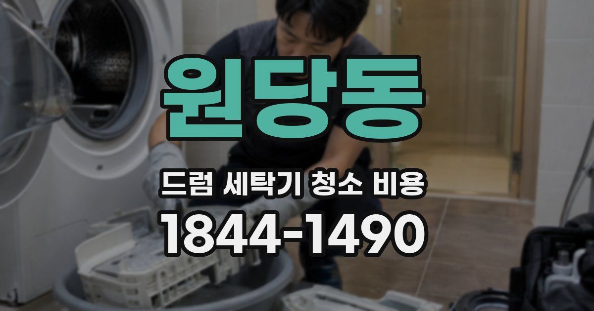 원당동 드럼 세탁기 청소 비용