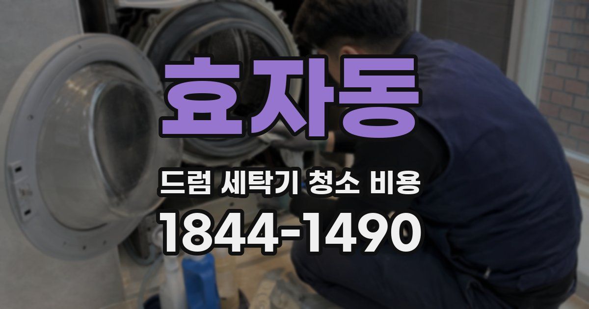 효자동 드럼 세탁기 청소 비용