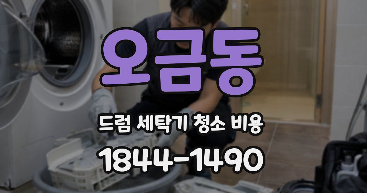 오금동 드럼 세탁기 청소 비용