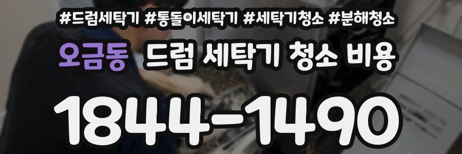 오금동 드럼 세탁기 청소 비용