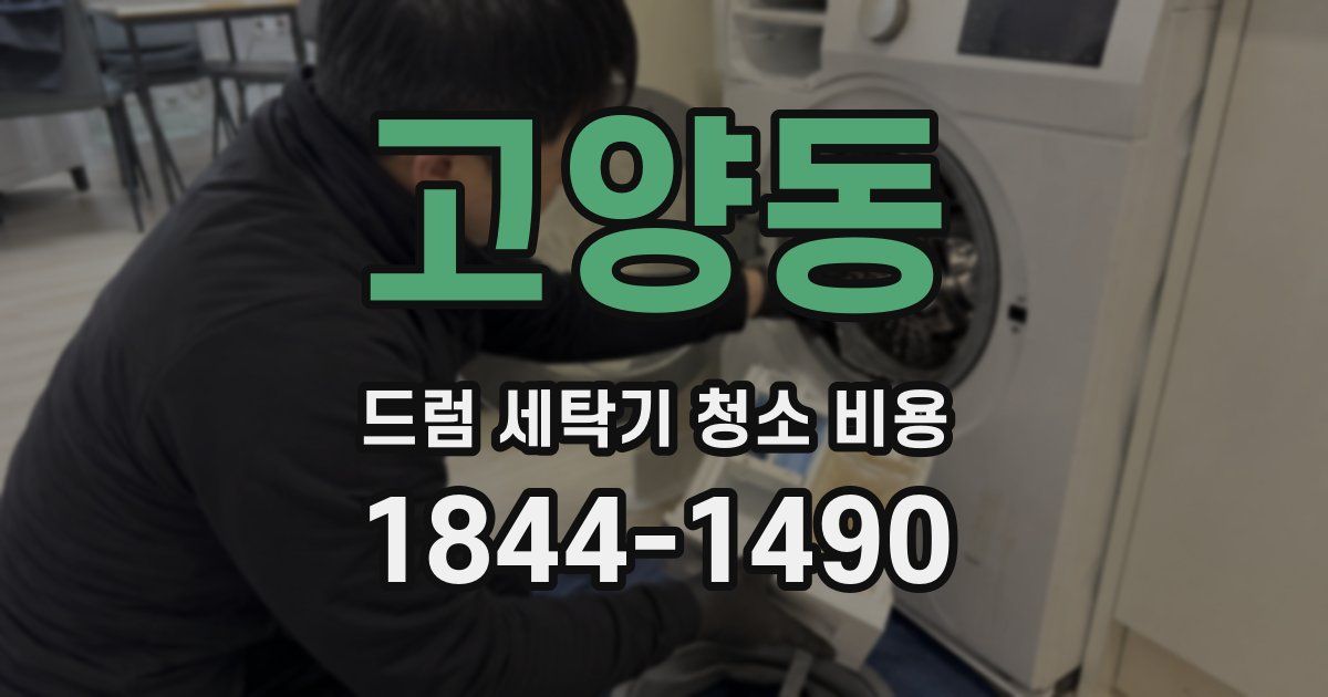 고양동 드럼 세탁기 청소 비용
